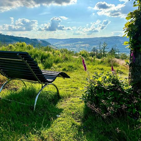 Traumwohnung Mit Sauna & Kamin, Direkt Am Wald Plettenberg Bagian luar foto