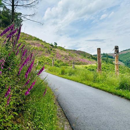 Traumwohnung Mit Sauna & Kamin, Direkt Am Wald Plettenberg Bagian luar foto