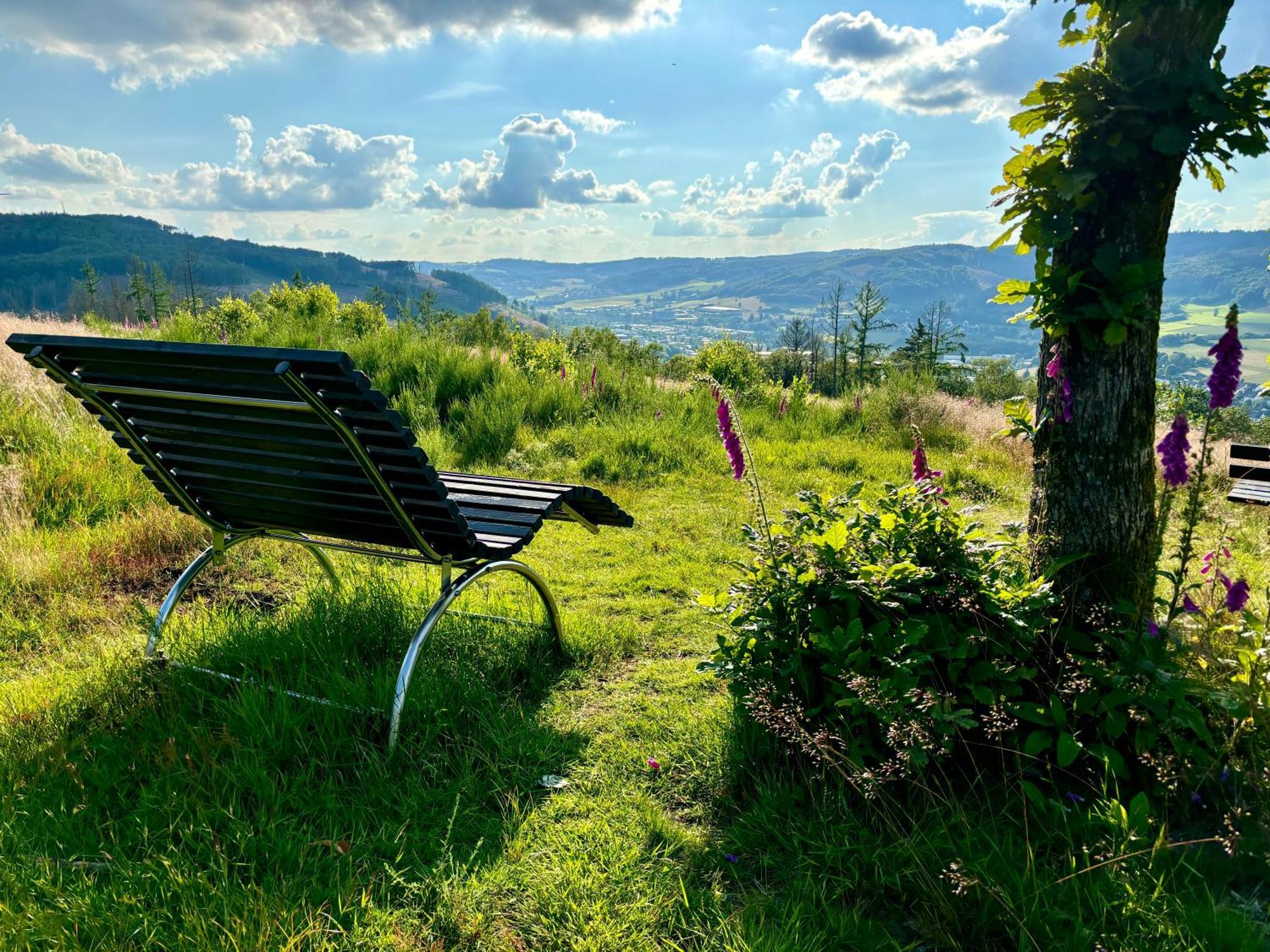 Traumwohnung Mit Sauna & Kamin, Direkt Am Wald Plettenberg Bagian luar foto